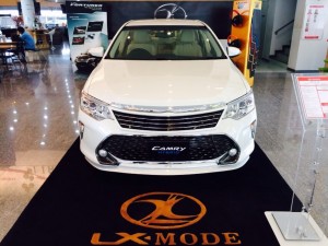 LX MODE CAMRY 2015-Grille WP3